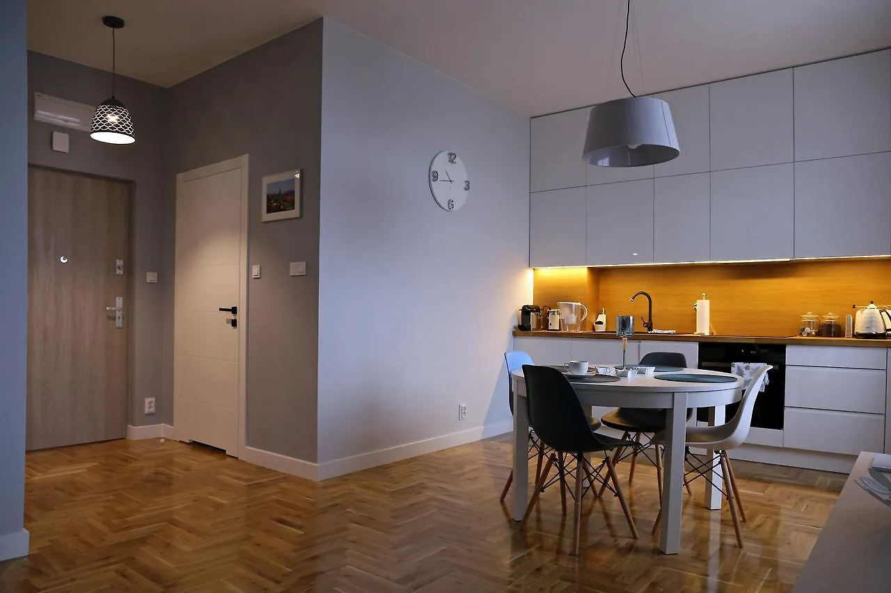 Grey Apartments Kosciuszko Krakau